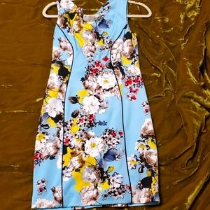 Tahari Blue Floral Dress